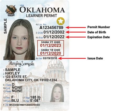 oklahoma learners permit test